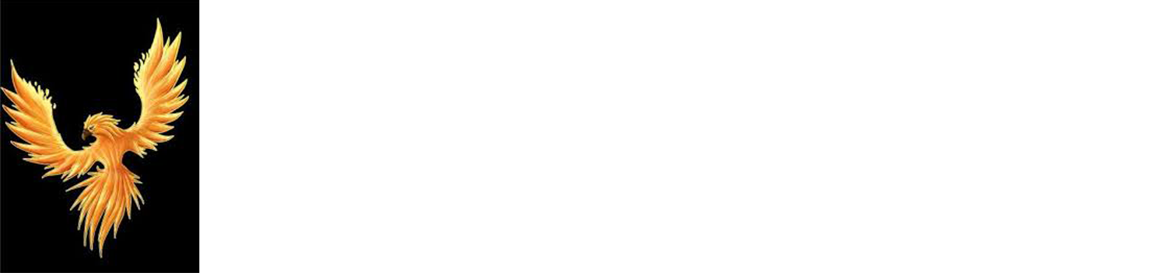 Phoenix Motor's